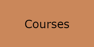 SEMO Courses Button
